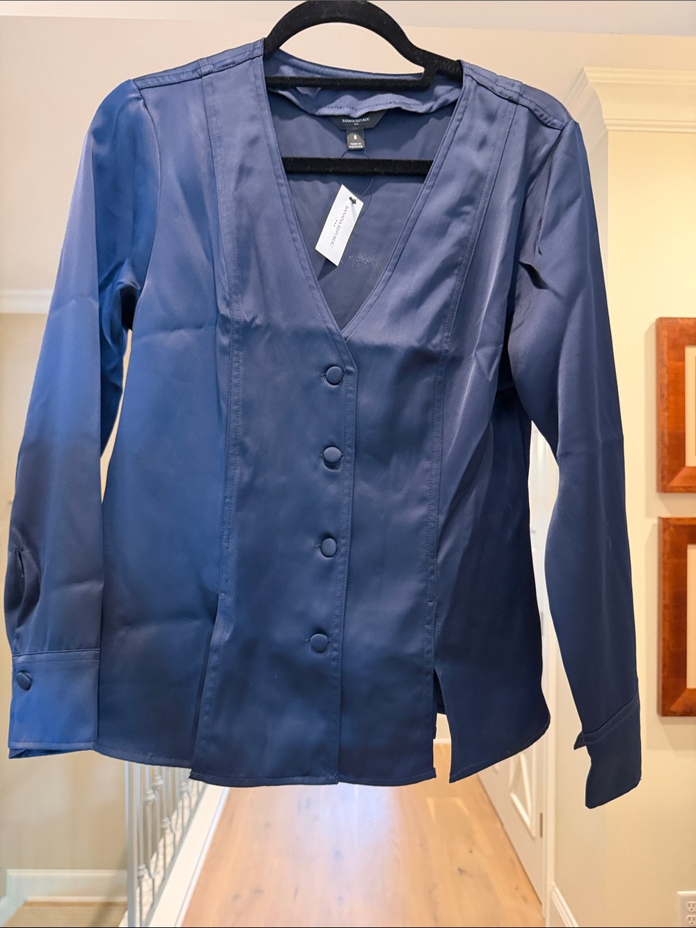 Banana Republic blue blouse (bw)
